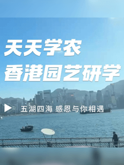 与香港园艺学会联合举办香港园艺研学，专业园境师带队讲解。