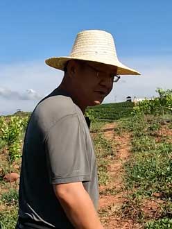 农业人叶涛，50多岁通讯人跨界搞农业，他要用1000万打造一个梦。